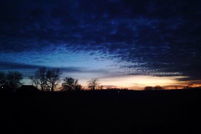 Silhouette of trees at sunset