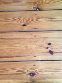 Close-up of wooden plank