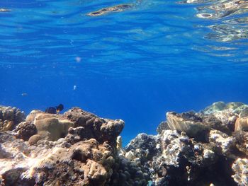 Rock formations in sea