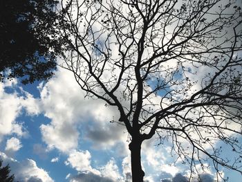 Low angle view of silhouette tree against sky