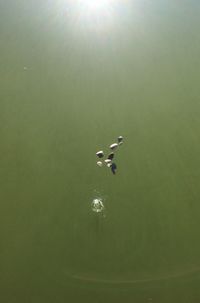 Full frame shot of water