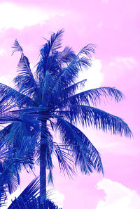 Low angle view of coconut palm tree against sky