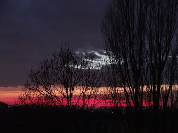 Silhouette bare trees on landscape against sky at night