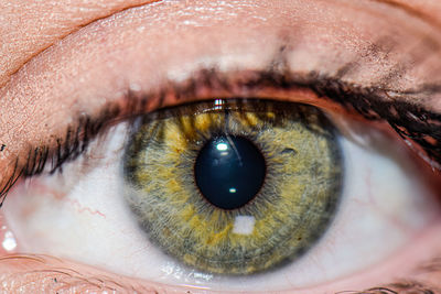 Close-up of human eye