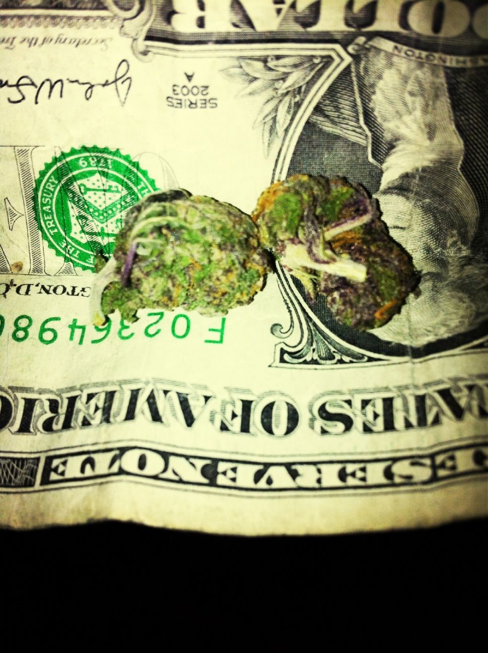 Purple loud 