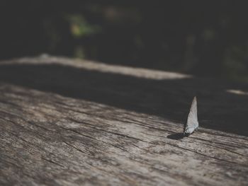 Close-up of wood on table