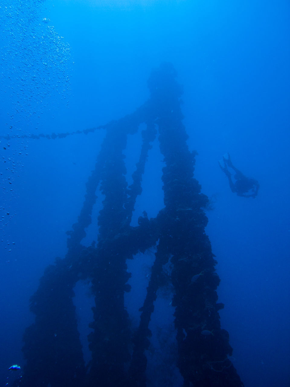 SHADOW OF PEOPLE ON SEA