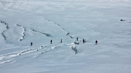 People standing on snow field