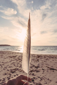 Low section of woman holding feather at beach against sky during sunset