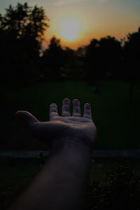 Midsection of person against plants during sunset