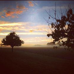 Trees on landscape against sky at sunset