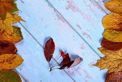 High angle view of autumn leaves on table