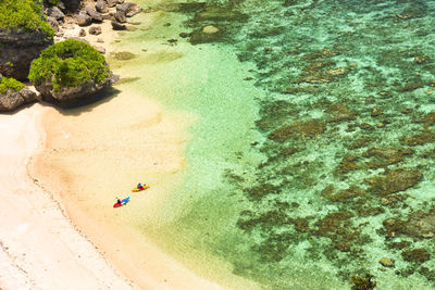 Beautiful coral reef sea of okinawa