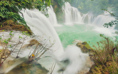 Scenic view of waterfall in forest