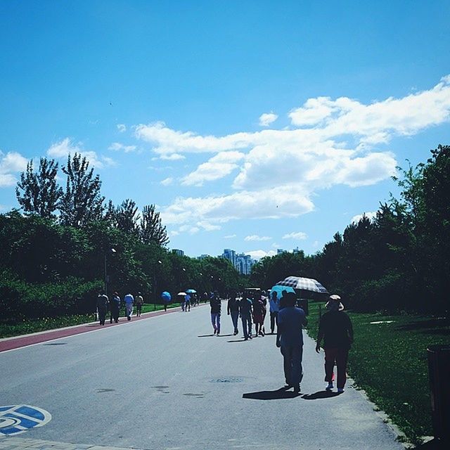 tree, sky, men, lifestyles, leisure activity, person, walking, togetherness, full length, rear view, the way forward, cloud - sky, road, cloud, transportation, blue, large group of people, day