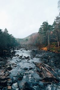 Scenic view of rocks in forest against sky