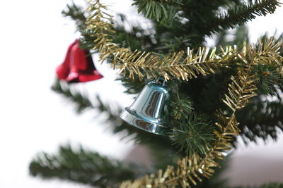 Close-up of christmas tree in snow