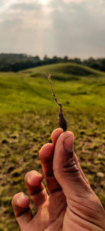 Close-up of person holding stick