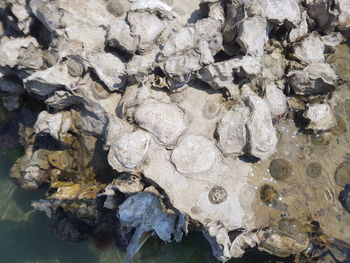 Full frame shot of rock in sea