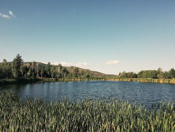 Scenic view of lake against clear sky