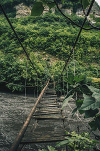 Footbridge amidst trees in forest
