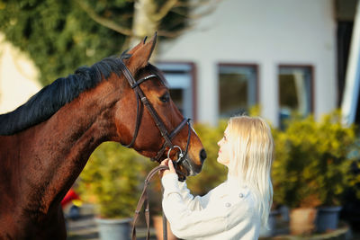 Horse and rider