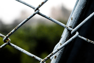 Close-up of raindrops on chainlink fence