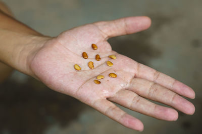 Close-up of hand holding flower