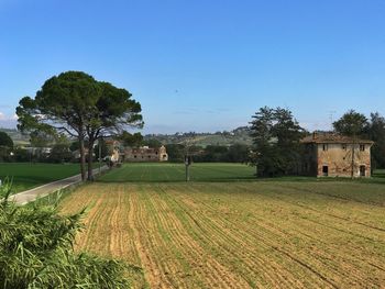 Trees and houses on field against sky