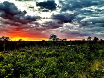 Scenic view of field against cloudy sky