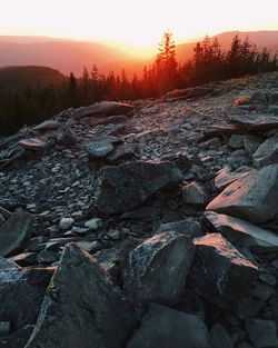 Scenic view of landscape at sunset