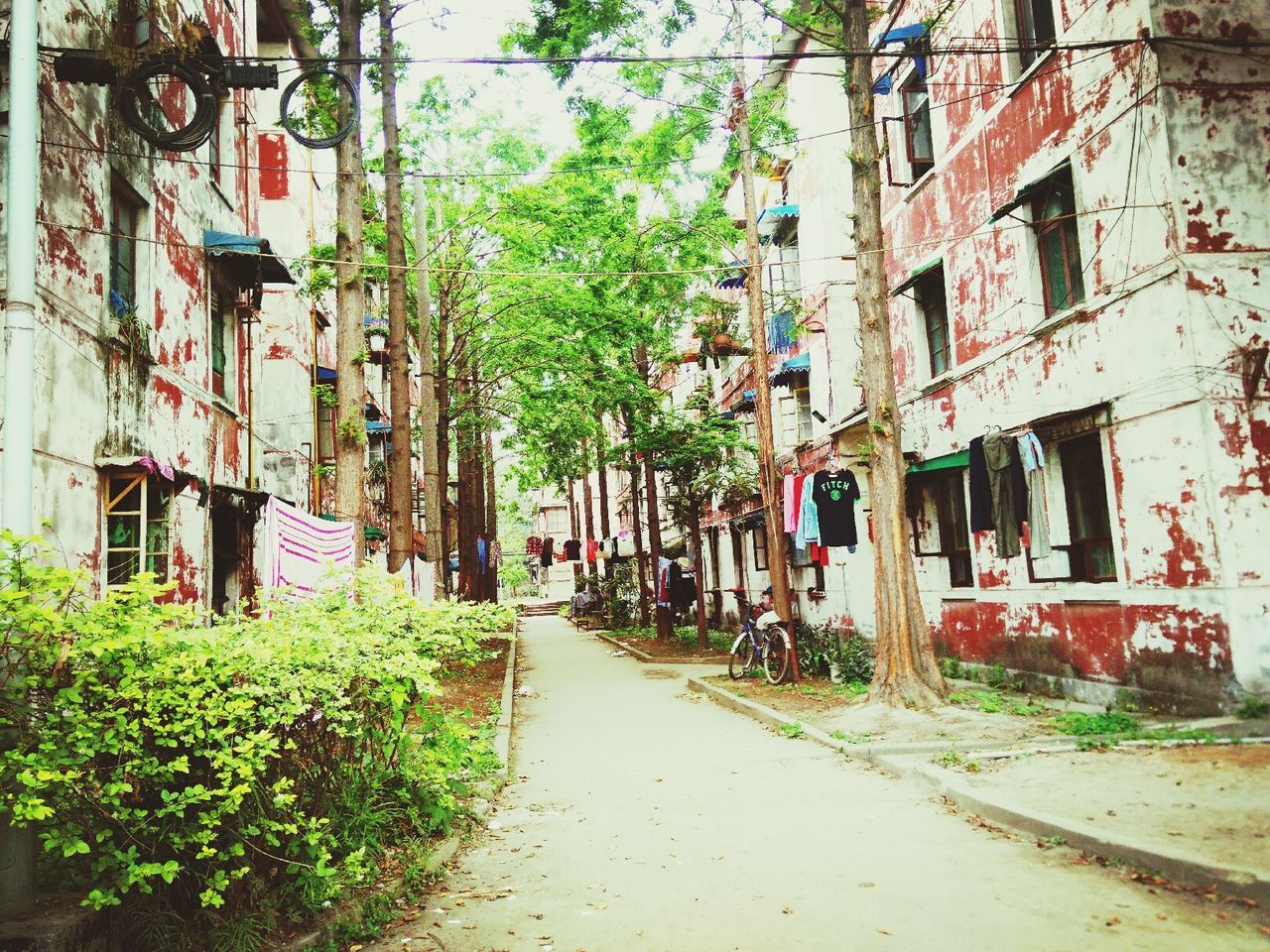 architecture, building exterior, built structure, the way forward, narrow, street, house, residential structure, residential building, diminishing perspective, alley, tree, building, transportation, road, vanishing point, day, plant, outdoors, pathway