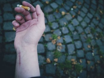 Close-up of woman hand