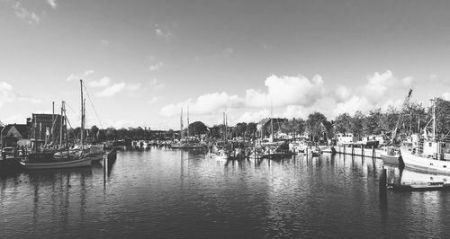 Sailboats moored in harbor against sky