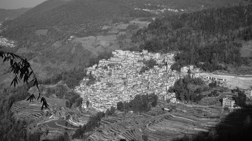 High angle view of agricultural field