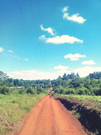 Road amidst trees against sky