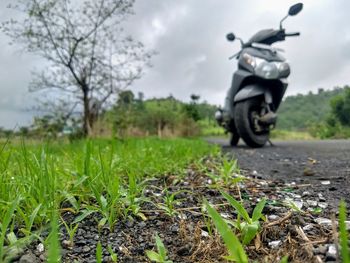 Surface level of road amidst plants on field