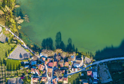 High angle view of buildings and trees in city