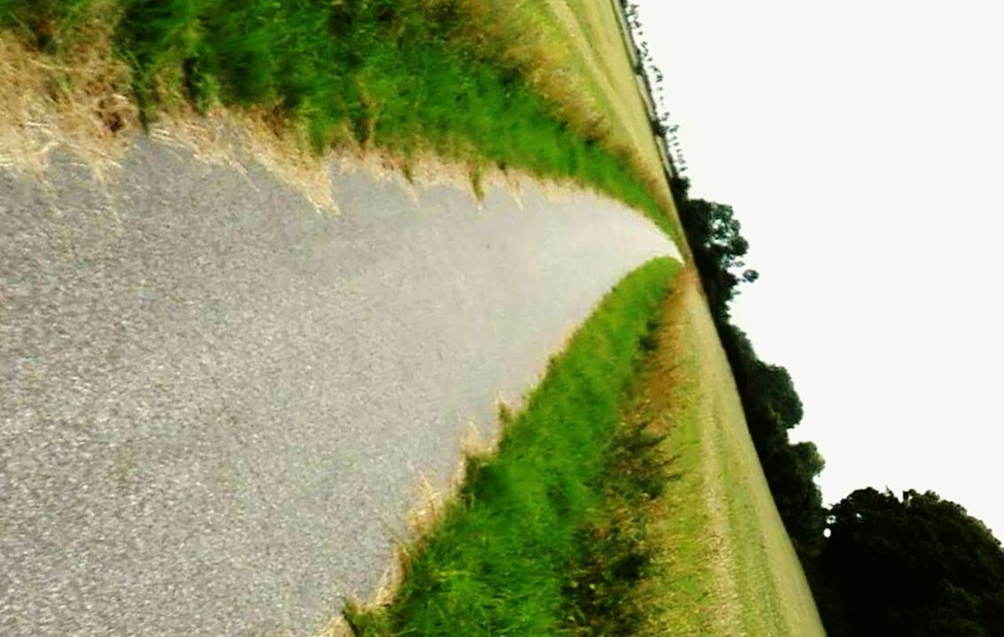 COUNTRY ROAD ALONG TREES IN LAKE