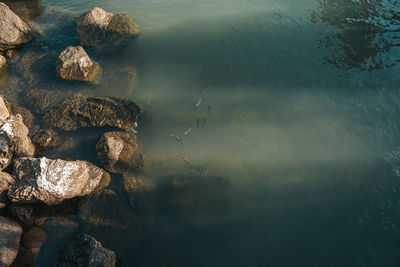 High angle view of rocks in water