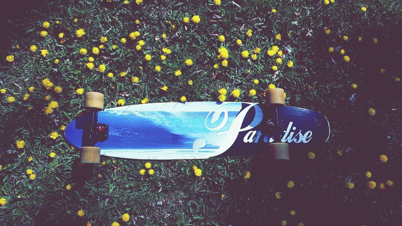 Paradise longboards