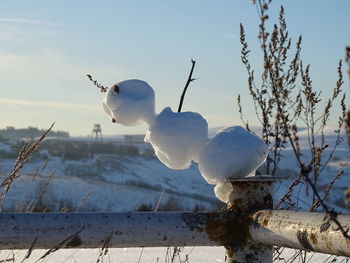 Close-up of snow on plants against sky