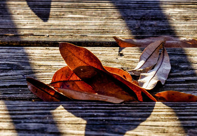 Close-up of dry leaves on wooden table