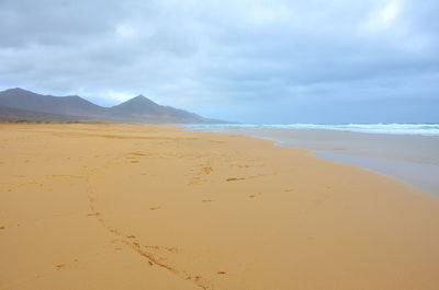 Scenic view of beach against sky