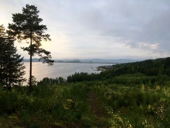 Scenic view of landscape against sky