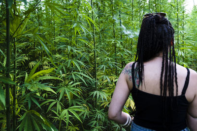 Rear view of woman standing by cannabis plants