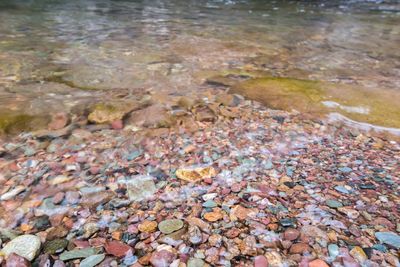 Close-up of pebbles in water