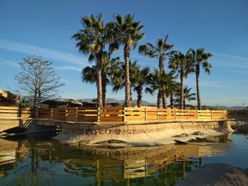 Scenic view of palm trees by lake against sky