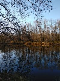Scenic view of lake in forest against sky