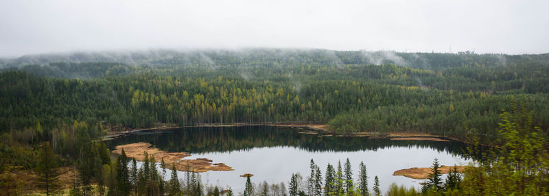 Scenic view of lake in forest against sky